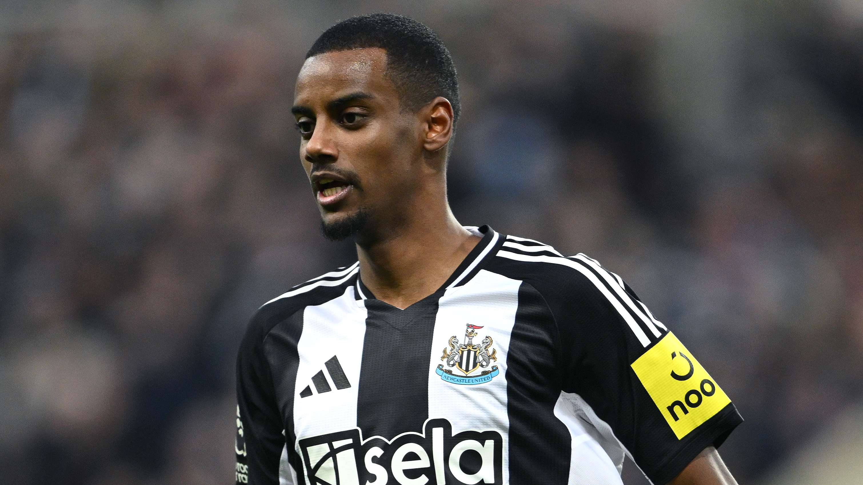 理应成为包 理应成为包